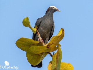 Nature Tour 