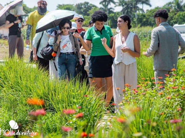 "HAVANA - NATURE + KAYAK" Tour - Excursion "HABANA - NATURALEZA + KAYAK"