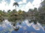 The Zapata Swamp and Girón Beach: a perfect combination between History and Nature Tour