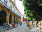 Army Square-Old Havana-Cuba