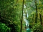 Park, Topes de Collantes, “Ride to Valley of the Topes de Collantes Natural Park in Old Fashion American Classic Cars” Tour