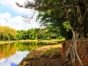 Cuban National Botanical Garden-Japanese Garden-Havana-Cuba