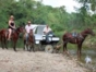 “In Horse Carriage to El Pilón Waterfall” Tour