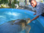 The Granja de las Tortugas (Turtle Farm) and the Experimental Sea Turtle Breeding Centre, Cayo Largo del Sur, Cuba.