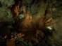 Caves - "Pinar del Río - Viñales" Tour