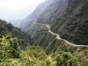 The Route to the Yungas, Coroico
