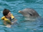 Dolphin Experience in Varadero