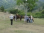 El Dajao Farm, Santiago de Cuba.