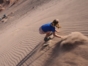 Sandboarding, in Death Valley, "Moon & Death Valleys" Tour