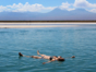 Swimming in the Cejar Lagoon, Antofagasta región, Chile.