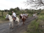 Jeep Tour "Cuba Campesina (Finca Alcalá)"