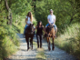 Horse riding-Matanzas-Cuba (9)