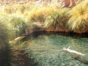 Bath in Puritama hot springs, Antofagasta region, Chile.