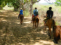 “Horseback Riding Sugar Mills Valley – Loma del Puerto – Sabanilla Restaurant” Tour