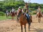 “Horseback Riding Through the Sugar Mills Valley at the foot of the Sierra del Escambray” Tour