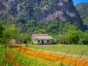 “Habana - Viñales 1” Tour (Private one day tour)