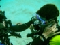 Diving courses in different centers of the country