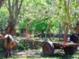 Ruins of the coffee plantation La Dionisia-Matanzas-Cuba