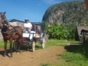 "Colonial Carriage in Viñales, Dreaming the Secrets of the Valley" Tour