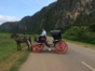 "Colonial Carriage in Viñales, Dreaming the Secrets of the Valley" Tour