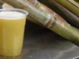 Guarapo drink-artesanal sugarcane drink