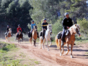 “Horseback Riding to Waterfall El Pilón” Tour