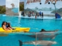Baconao dolphinarium, Santiago de Cuba