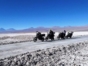 On the way to Atacama Salt Flat, Antofagasta region, Chile