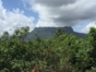Yunque view, Baracoa, cuba
