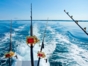 Deep Sea Fishing by Boat in Santiago de Cuba