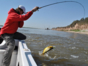 Deep Sea Fishing by Boat in Santiago de Cuba