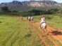 “Horseback Riding Through the Valle del Palmarito” Tour