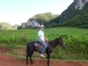 “Horseback Riding Through the Valle del Palmarito” Tour