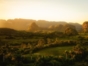 Sunset in the Vinales Valley-cuba