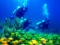 "Diving in in Covarrubias" Tour