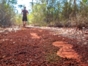 El Guafe archeological trail, Desembarco del Granma National Park, Granma