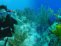 Scuba diving in Trinidad. Cuba