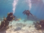 Scuba diving in Trinidad. Cuba