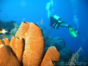 Scuba diving in Trinidad. Cuba