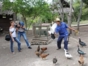 Interaction with animals in the farmer's house, the Rocazul Biopark