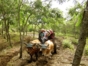 Farmer's house, the Rocazul Biopark, Holguin