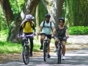Cycling tour “Havana, Multicolor Route”