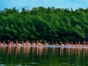 Guanaroca lagoon park