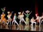 Dance Company, Camaguey City