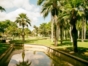 Cuban National Botanical Garden-Havana-Cuba