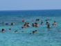 Snorkeling at Punta Maya-Matanzas-Cuba