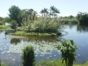 Gran Humedal Park, North of Ciego de Avila, Cuba