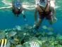 Snorkeling in coral reef, Blue Adventure, Holguin