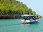 Canimar River boat trip-Matanzas-Cuba