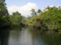 "Fluvial Walk by the Hatiguanico River"